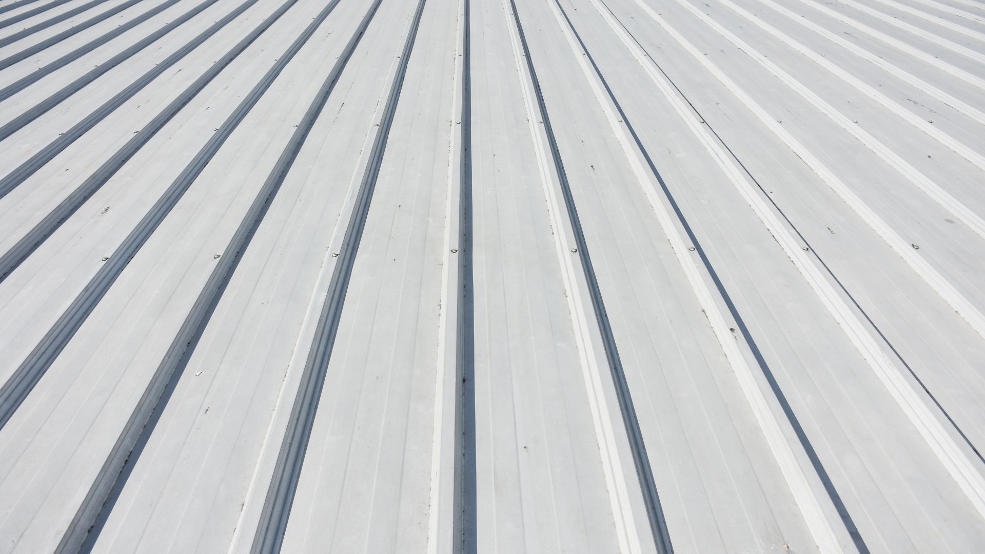 Close view of a pale standing seam metal roof