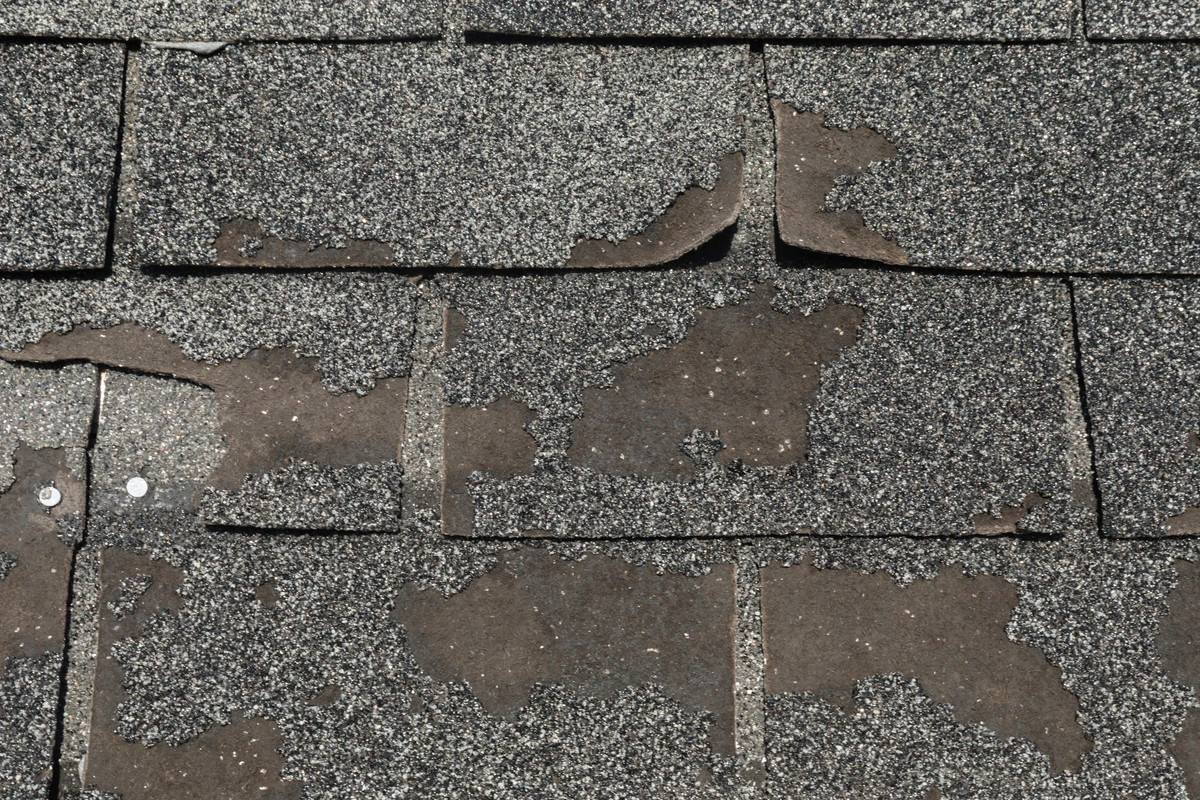 Curled and damaged asphalt shingles